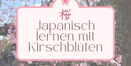 Es ist soweit, die Kirschblütenzeit hat angefangen! Die Kirschblüte ist neben dem Berg Fuji (sag niemals Fuji-yama zu ihm – richtig ist: Fuji-san – das hat mit der richtigen Kanjilesung zu tun) eines der bekanntesten Symbole Japans