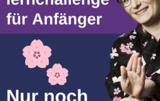 Noch schnell anmelden und das kihon no kihon (die absolute Basis) der japanischen Sprache lernen.