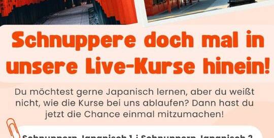 Du suchst nach dem geeigneten Japanischkurs für dich? Selbstlernkurse sind nicht so dein Ding und du hättest lieber wöchentliche Online-Meetings, um motiviert zu bleiben?