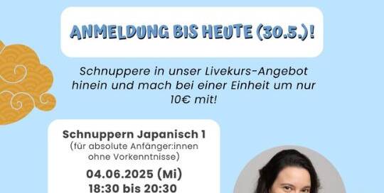 Selbstlernkurse sind nicht so dein Ding und du hättest lieber wöchentliche Online-Meetings, um motiviert zu bleiben?