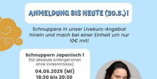 Selbstlernkurse sind nicht so dein Ding und du hättest lieber wöchentliche Online-Meetings, um motiviert zu bleiben?