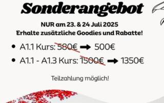 Du hast Hiragana und Katakana bereits gelernt? Dann erfüllst du alle Vorraussetzungen, um beim A1.1 Kurs mitzumachen!