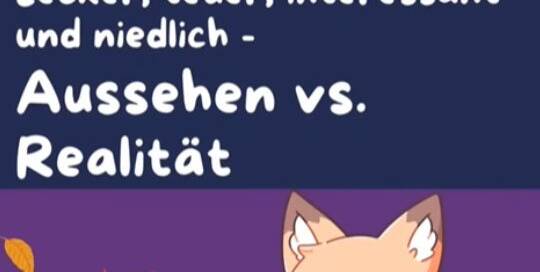 Sieht das Essen nur lecker aus oder schmeckt es auch tatsächlich? (Eine Frage, die man sich in Japan für gewöhnlich nicht stellen muss - beides trifft zu! 😋) In diesem Video lernst du aber, wie du das Aussehen von etwas beschreiben kannst bzw. wie du sagen kannst, dass etwas lecker, teuer, interessant/lustig oder niedlich ist. 🐮 Du willst noch mehr Japanisch? Mach bei unserer kostenlosen Challenge ab dem 15. September mit