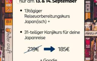 Das erste Mal Japan kann schon ziemlich überwältigend sein. Viele Menschen um einen herum, überall, wo man hinsieht, sind Schriftzeichen. Wie finde ich den richtigen Ausgang?