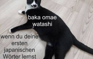 Heute spricht einmal der Kater von Manuela-sensei zu uns.