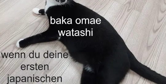 Heute spricht einmal der Kater von Manuela-sensei zu uns.