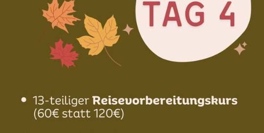Heute ist Tag 4 von unserem Momiji-Herbstsale! Auch heute erwarten dich wieder einige coole Sachen.