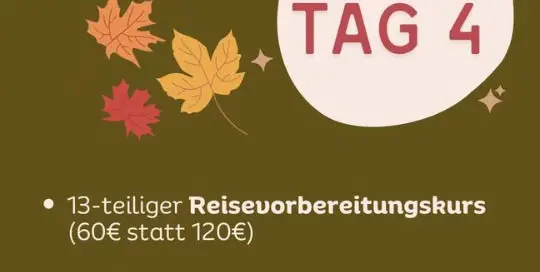 Heute ist Tag 4 von unserem Momiji-Herbstsale! Auch heute erwarten dich wieder einige coole Sachen.