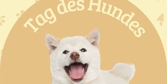 Der 1. November gilt als Tag des Hundes in Japan, was auf die Lesung des Datums zurückgeht. Was hat nun das Datum 1.11. mit Hunden zu tun?