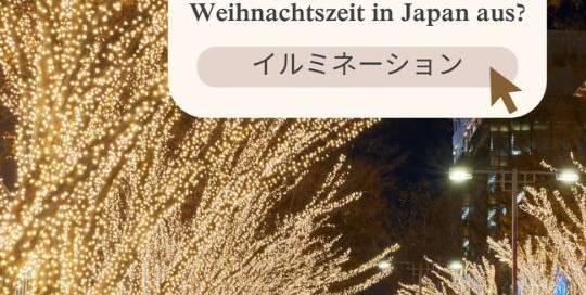 Winter-Illuminationen um die Weihnachtszeit und Neujahr sind schon seit vielen Jahren beliebte Attraktionen in den Städten Japans.