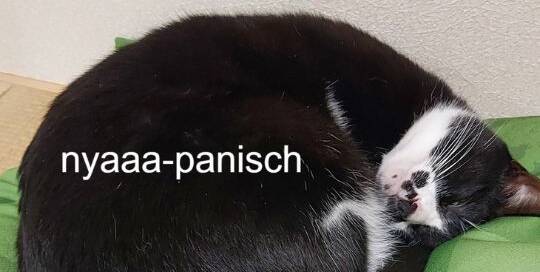 Lass uns ab morgen deine Japanischlern-Fragezeichen in Aha-Erlebnisse umwandeln! Mit der Erfahrung von gleich mehreren erfahrenen Japanischlehrerinnen, die dir genau die Antworten, Erklärungen und Übungen geben, die dich weiterbringen!