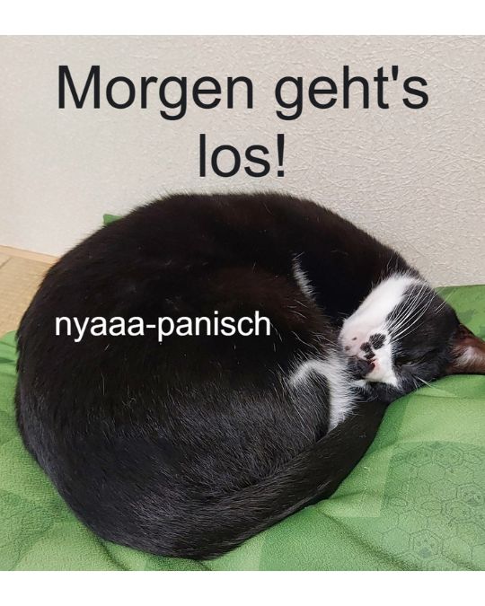 Lass uns ab morgen deine Japanischlern-Fragezeichen in Aha-Erlebnisse umwandeln! Mit der Erfahrung von gleich mehreren erfahrenen Japanischlehrerinnen, die dir genau die Antworten, Erklärungen und Übungen geben, die dich weiterbringen!