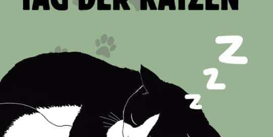 Am 22.2. wird in Japan der Tag der Katzen –oder auf Japanisch der 猫の日(ねこのひ) gefeiert.