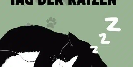Am 22.2. wird in Japan der Tag der Katzen –oder auf Japanisch der 猫の日(ねこのひ) gefeiert.