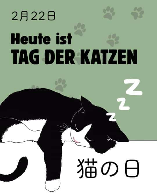 Am 22.2. wird in Japan der Tag der Katzen –oder auf Japanisch der 猫の日(ねこのひ) gefeiert.