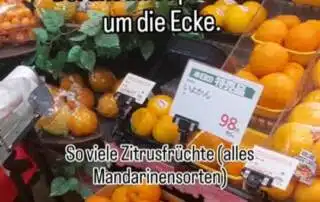Japanische Mandarinen haben oft den Süßegrad dabei stehen. Gerade jetzt gibt es Unmengen an verschiedenen Mandarinensorten in japanischen Supermärkten, die alle aus verschiedenen Teilen Japans kommen. Z.B. aus Kumamoto 熊本 (Kanji für Bär und Basis/Ursprung/Buch) auf der Insel Kyushu 九州 (Kanji für 9 und Provinz) oder dem für seine Zitrusfrüchte bekannten Ehime 愛媛 ( Kanji für Liebe und Prinzessin) auf der Insel Shikoku 四国 (Kanji für 4 und Königreich). Weißt du, wie die anderen 2 Hauptinseln Japans heißen und was deren Kanji bedeuten? Geografie und Kanjilernen gehen da Hand in Hand 😊 Mehr zum Japanischlernen, meine besten Japanischlerntipps und -tricks sowie Wissenswertes aus Japan und zur japanischen Kultur gibt es regelmäßig kostenlos für alle, die meinen Newsletter abonniert haben. Schau auf japanischlernen . at und dann auf Newsletter. 福井(ふくい)からよろしく! Fukui kara yoroshiku Schöne Grüße aus Fukui, Japan, deine Manuela