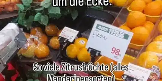 Japanische Mandarinen haben oft den Süßegrad dabei stehen. Gerade jetzt gibt es Unmengen an verschiedenen Mandarinensorten in japanischen Supermärkten, die alle aus verschiedenen Teilen Japans kommen. Z.B. aus Kumamoto 熊本 (Kanji für Bär und Basis/Ursprung/Buch) auf der Insel Kyushu 九州 (Kanji für 9 und Provinz) oder dem für seine Zitrusfrüchte bekannten Ehime 愛媛 ( Kanji für Liebe und Prinzessin) auf der Insel Shikoku 四国 (Kanji für 4 und Königreich). Weißt du, wie die anderen 2 Hauptinseln Japans heißen und was deren Kanji bedeuten? Geografie und Kanjilernen gehen da Hand in Hand 😊 Mehr zum Japanischlernen, meine besten Japanischlerntipps und -tricks sowie Wissenswertes aus Japan und zur japanischen Kultur gibt es regelmäßig kostenlos für alle, die meinen Newsletter abonniert haben. Schau auf japanischlernen . at und dann auf Newsletter. 福井(ふくい)からよろしく! Fukui kara yoroshiku Schöne Grüße aus Fukui, Japan, deine Manuela