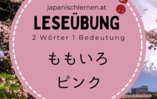 Bereit für die nächste Runde? Wir suchen hier nach einem weiteren Wort, das es als Hiragana und Katakana-Variante gibt