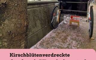 Kirschblütenverdreckte Straßen als Wirtschaftsmotor - wie die japanische Regierung künftig die Wirtschaft ankurbeln will