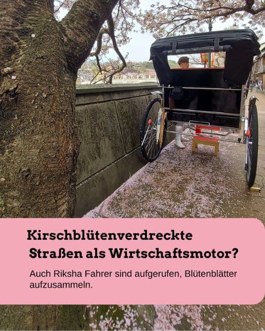 Kirschblütenverdreckte Straßen als Wirtschaftsmotor - wie die japanische Regierung künftig die Wirtschaft ankurbeln will